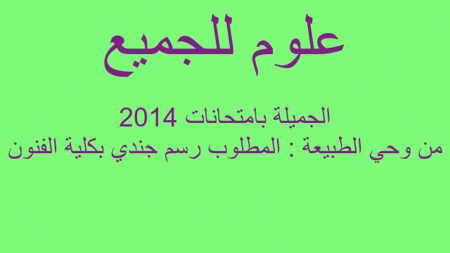 من وحي الطبيعة : المطلوب رسم جندي بكلية الفنون الجميلة بامتحانات 2014