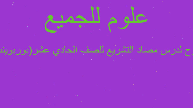 شرح لدرس مصاد التشريع للصف الحادي عشر(بوربوينت)