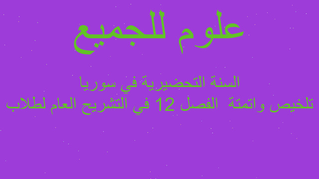 تلخيص واتمتة  الفصل 12 في التشريح العام لطلاب السنة التحضيرية في سوريا
