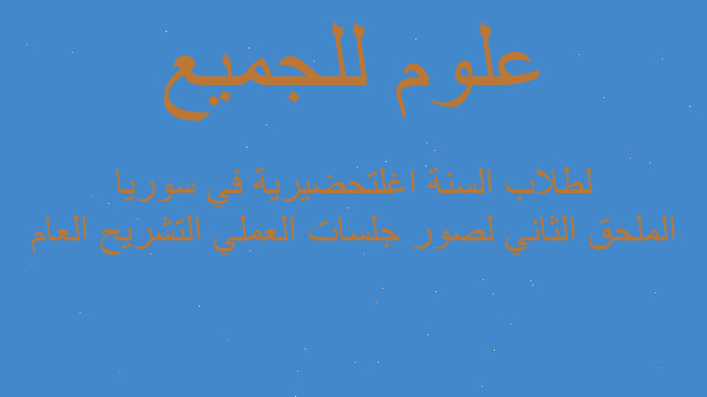 الملحق الثاني لصور جلسات العملي التشريح العام لطلاب السنة اغلتحضيرية في سوريا