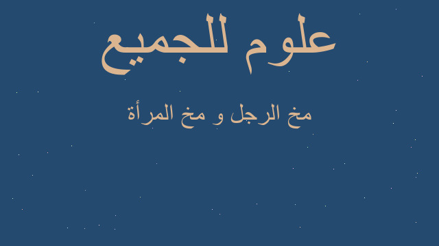 مخ الرجل و مخ المرأة مخ الرجل و مخ المرأة