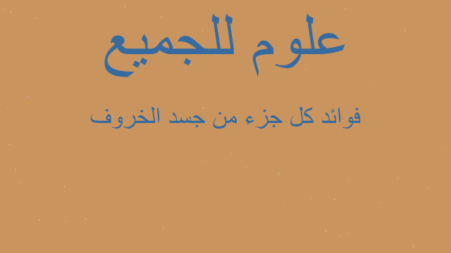 فوائد كل جزء من جسد الخروف