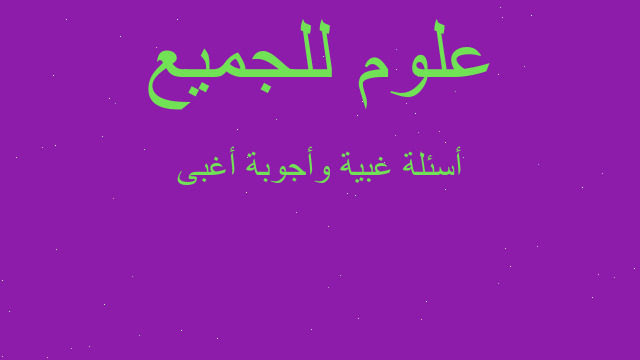 أسئلة غبية وأجوبة أغبى