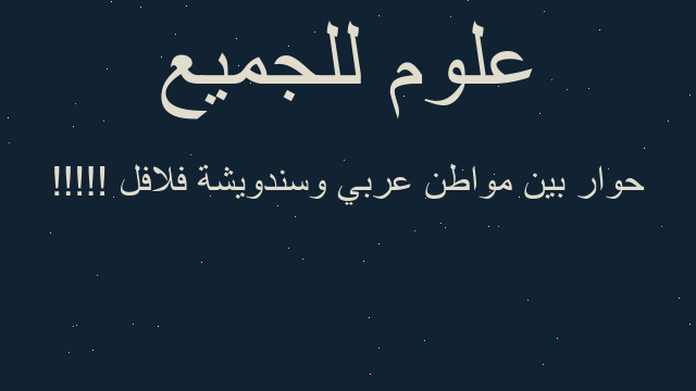 حوار بين مواطن عربي وسندويشة فلافل !!!!!