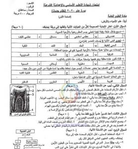 اسئلة علوم تاسع 2020 مع سلم التصحيح