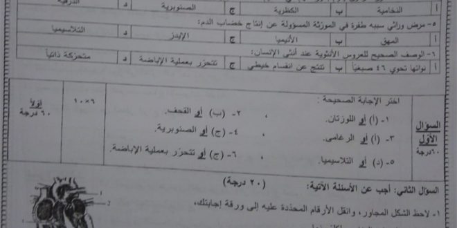 سلم تصحيح العلوم تاسع 2023