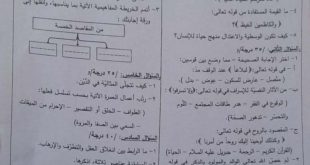 أسئلة الديانة 2023 د1 علمي أدبي