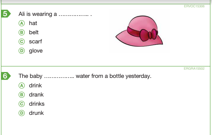   english reading sample test     