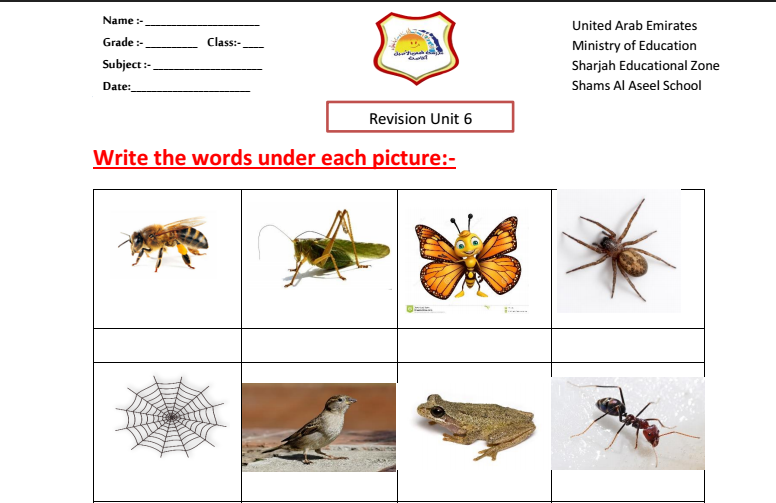 english -revision unit6      