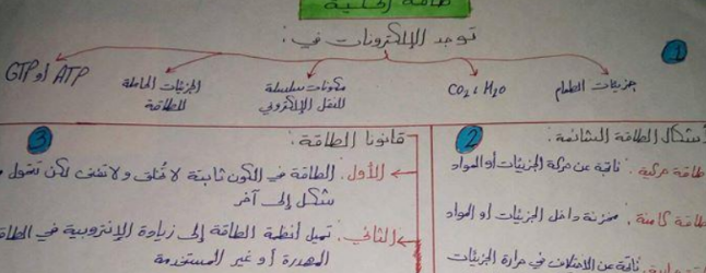 بيولوجيا افكار رئيسية للفصل الثامن لطلاب السنة التحضيرية في سوريا 