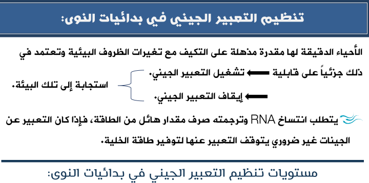 الوراثة الفصل السابع لطلاب السنة التحضيرية في سوريا