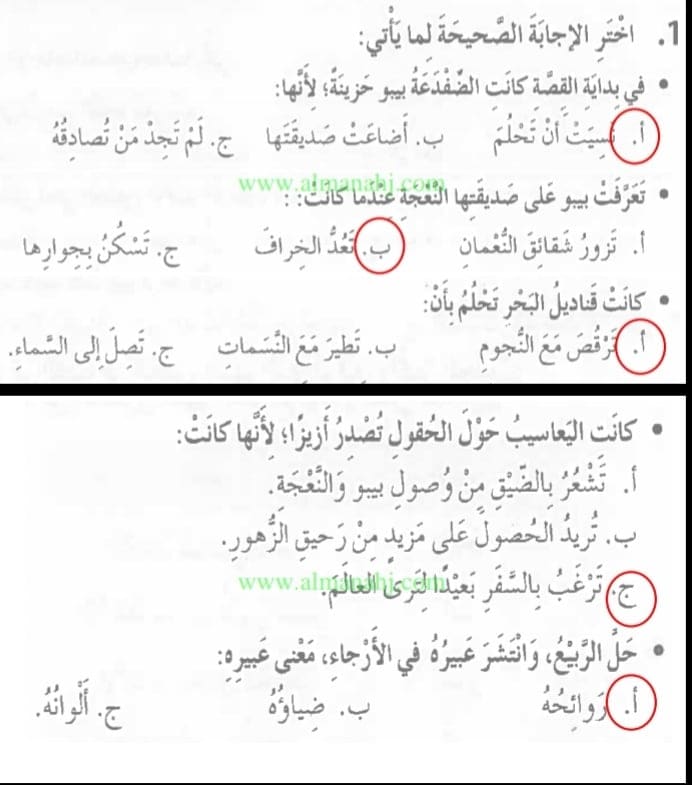 الصف الثالث في الامارات لغة عربية من درس رحلة بيبو 