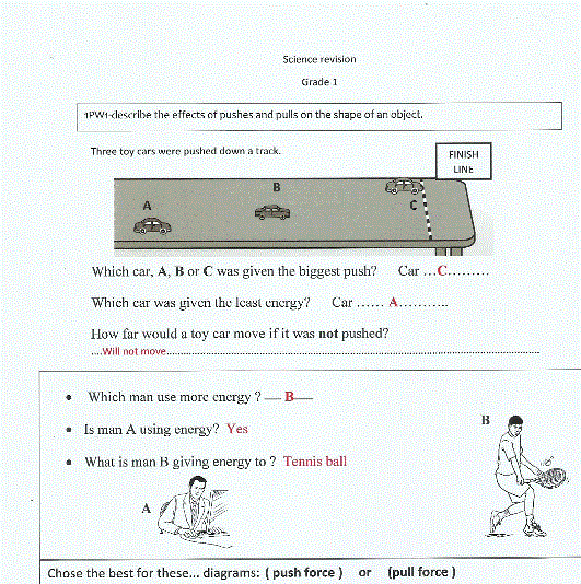 science answer for grade one Post image of science answer for grade one