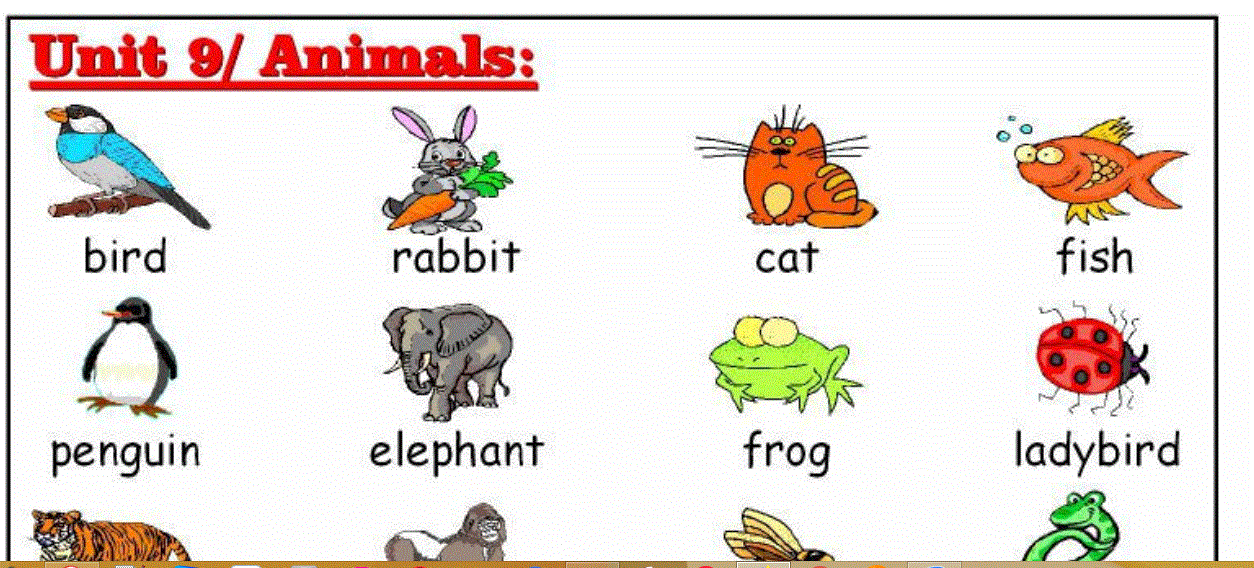 unit 9 grade one English animals Post image of unit 9 grade one English animals