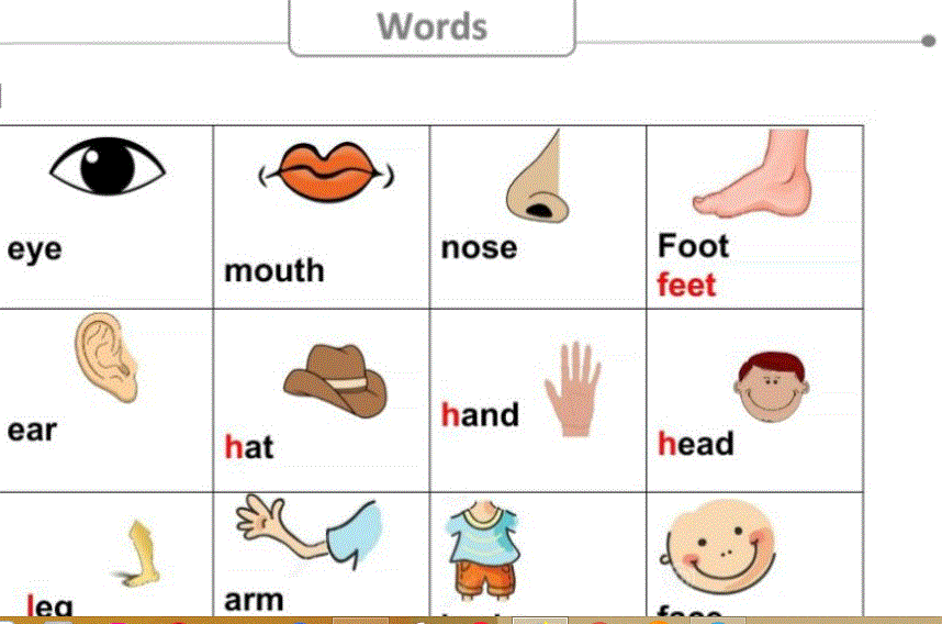 words ,reading,English grade one Post image of words ,reading,English grade one