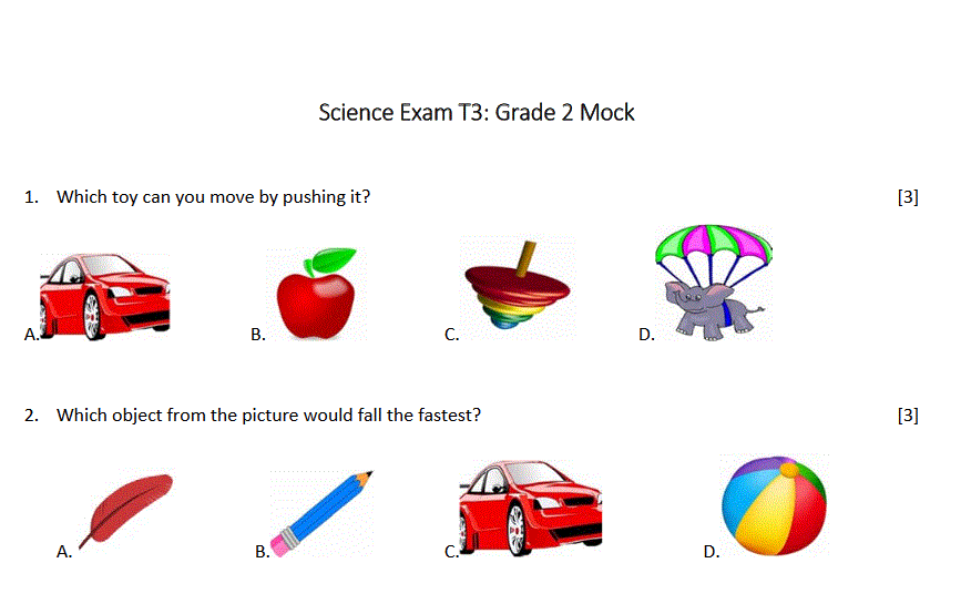 grade 2 science mock exam Post image of grade 2 science mock exam