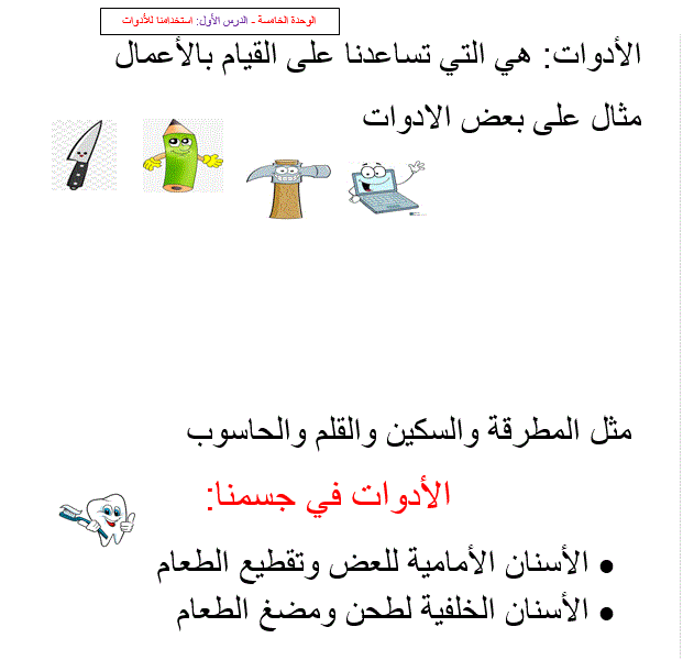 ورقة عمل للعلوم الصف الثاني Post image of ورقة عمل للعلوم الصف الثاني
