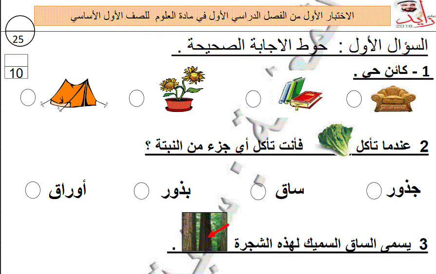 الاختبار الاول الصف الاول الفصل الاول العلوم Post image of الاختبار الاول الصف الاول الفصل الاول العلوم
