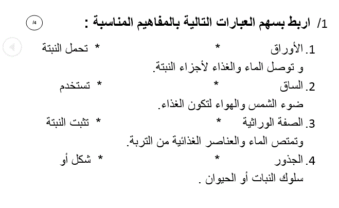 الاختبار التقويمي لمادة العلوم الفصل الاول الصف الثاني Post image of الاختبار التقويمي لمادة العلوم الفصل الاول الصف الثاني