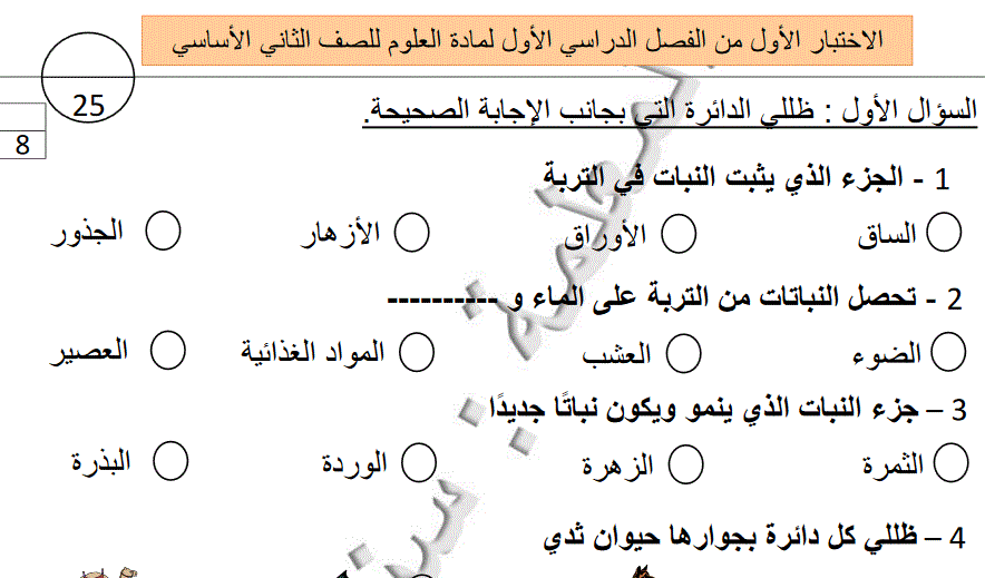 الاختبار الاول للصف الثاني الفصل الاول لمادة العلوم Post image of الاختبار الاول للصف الثاني الفصل الاول لمادة العلوم