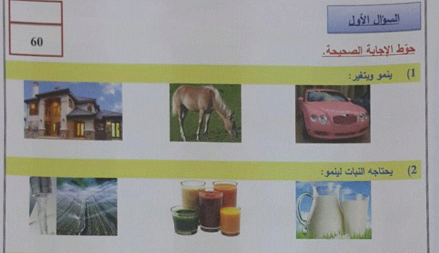 ورقة عمل لاختبار العلوم الصف الاول الفصل الاول Post image of ورقة عمل لاختبار العلوم الصف الاول الفصل الاول