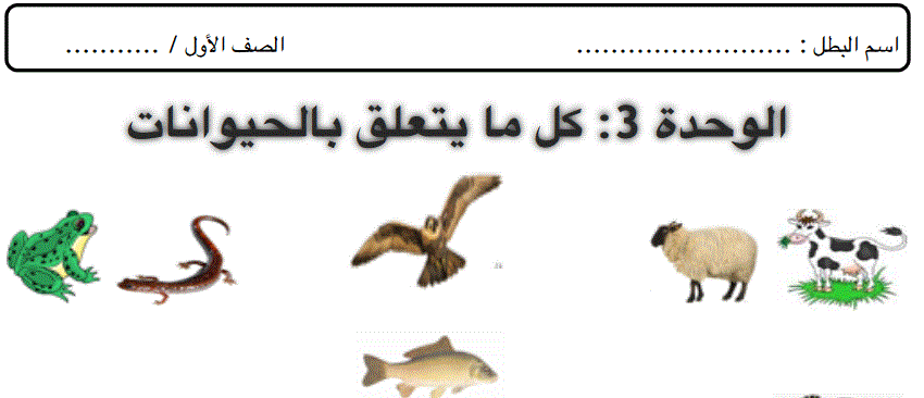للعلوم الصف الاول الفصل الاول الوحدة 3 ملخص وحدة الحيوانات Post image of للعلوم الصف الاول الفصل الاول الوحدة 3 ملخص وحدة الحيوانات