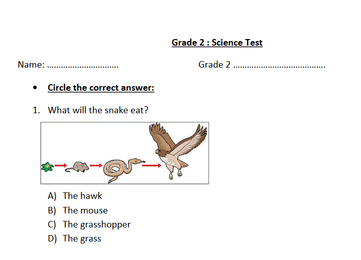 science test grade 2 Post image of science test grade 2