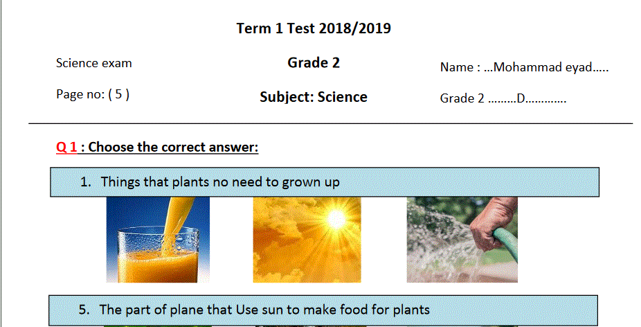 science test grade 2 term 1 Post image of science test grade 2 term 1