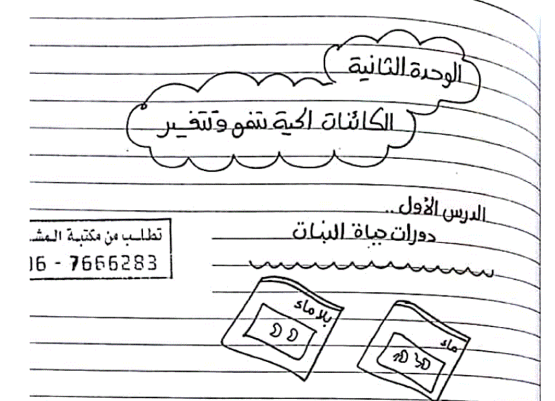 تلخيص كيف تنمو النباتات الوحدة الثانية العلوم الصف الثالث Post image of تلخيص كيف تنمو النباتات الوحدة الثانية العلوم الصف الثالث