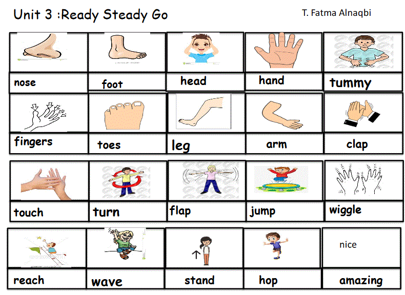 English unit 3 vocabulary ready steady go grade 3 Post image of English unit 3 vocabulary ready steady go grade 3