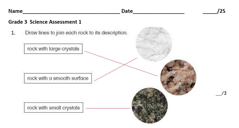 grade 3 science assessment Post image of grade 3 science assessment