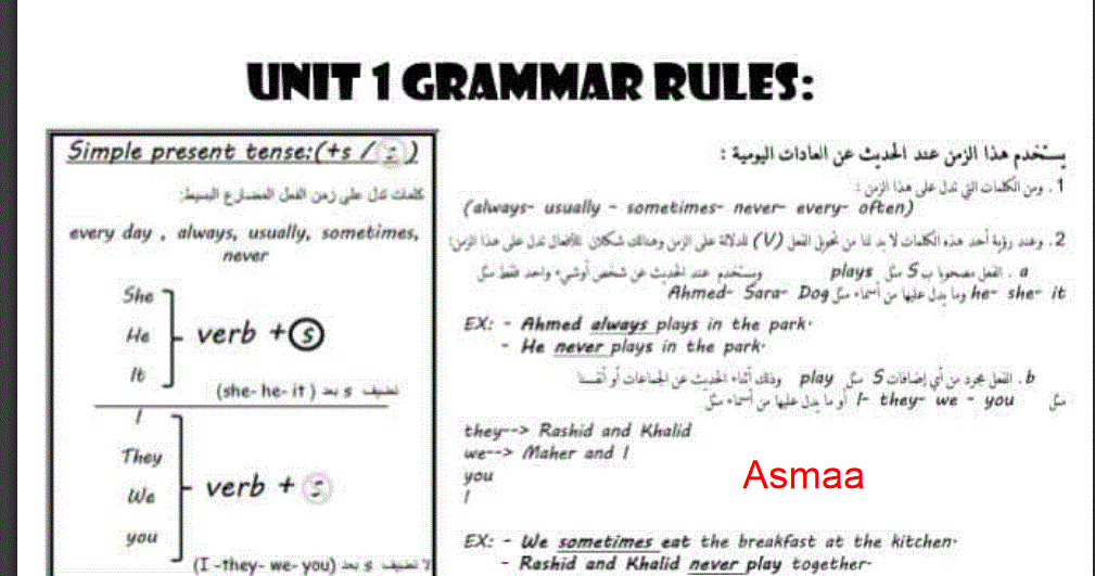 English grammar rules grade 5 term 1 Post image of English grammar rules grade 5 term 1