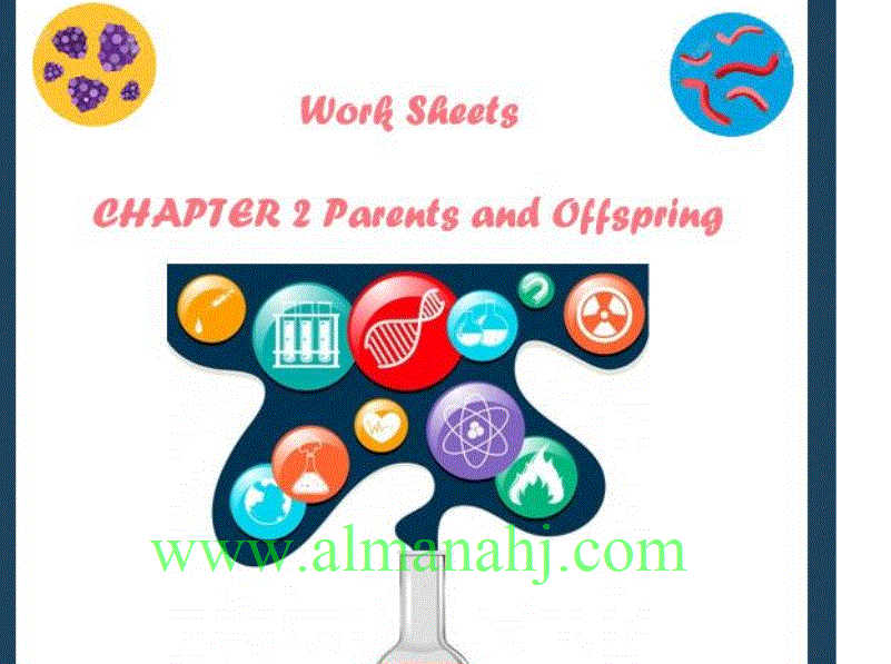 science worksheet chapter 2 parents and offspring Post image of science worksheet chapter 2 parents and offspring