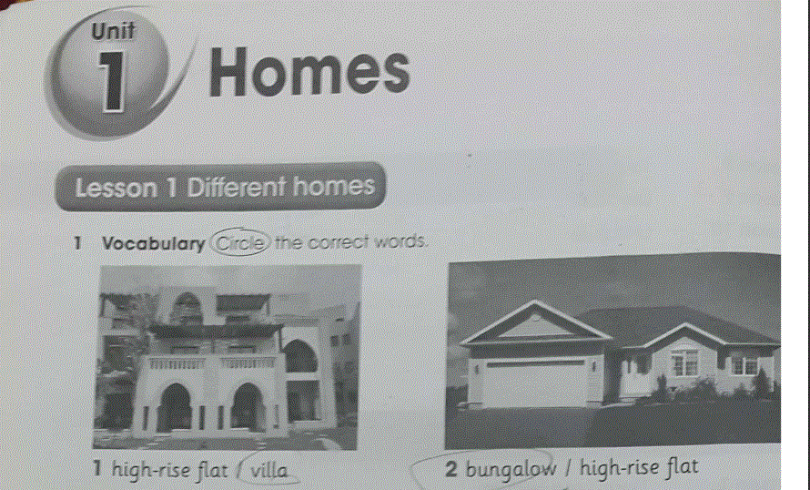 حلول الوحدة الاولى اللغة الانكليزية الصف الخامس Post image of حلول الوحدة الاولى اللغة الانكليزية الصف الخامس