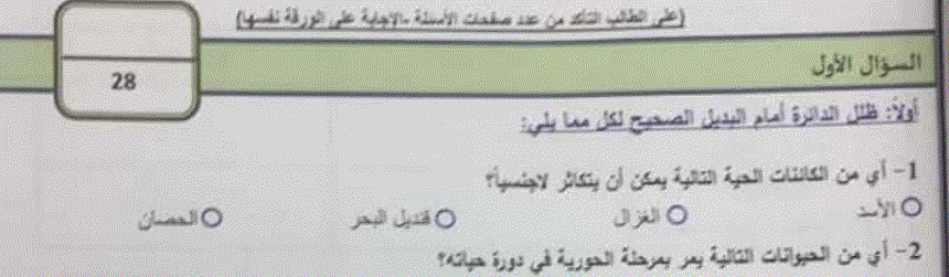 اختبار وزاري للعلوم الصف الخامس Post image of اختبار وزاري للعلوم الصف الخامس