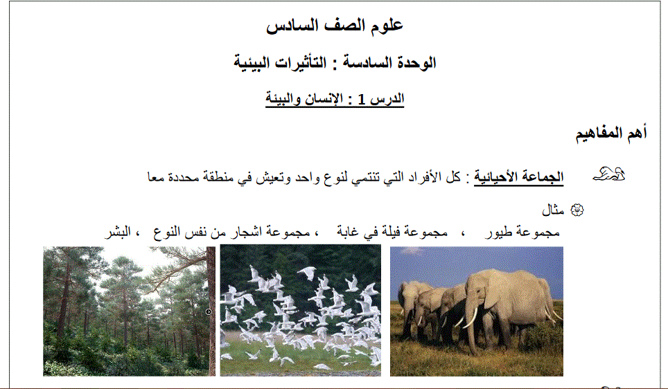 مراجعة الوحدة السادسة الصف السادس العلوم Post image of مراجعة الوحدة السادسة الصف السادس العلوم