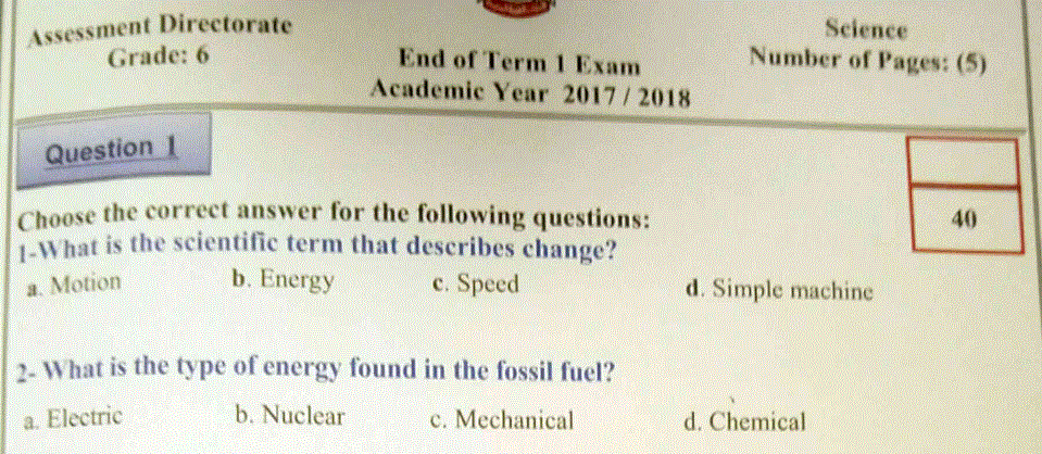 ورقة عمل لاختبار اللغة الانكليزية الصف السادس Post image of ورقة عمل لاختبار اللغة الانكليزية الصف السادس