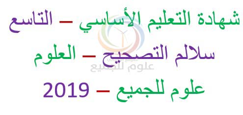     2019 -     