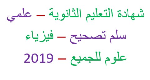    2019   -   