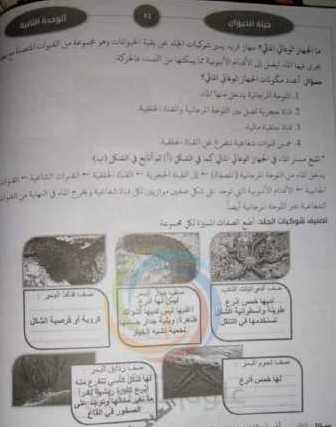 الصف الثامن العلوم حل وشرح الوحدة الثانية