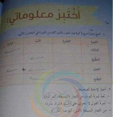 الصف الثالث العلوم حل درس خيرات بلادي