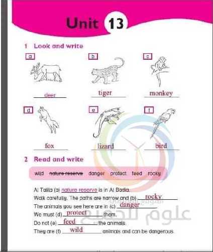 الصف الخامس اللغة الانكليزية حل الوحدة (13)