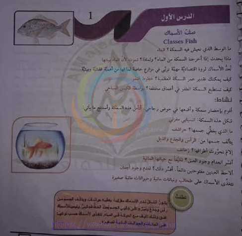 الصف الثامن العلوم حل درس صف الاسماك
