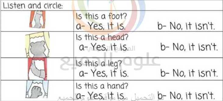 الصف الأول اللغة الانكليزية اوراق عمل الدرس 13