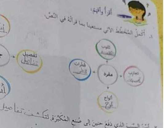 حل اسئلة درس المكتشفة الصغيرة اللغة العربية الصف الثاني 