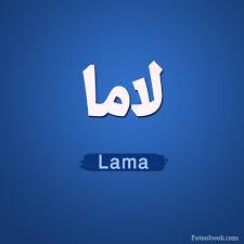  - Lama 